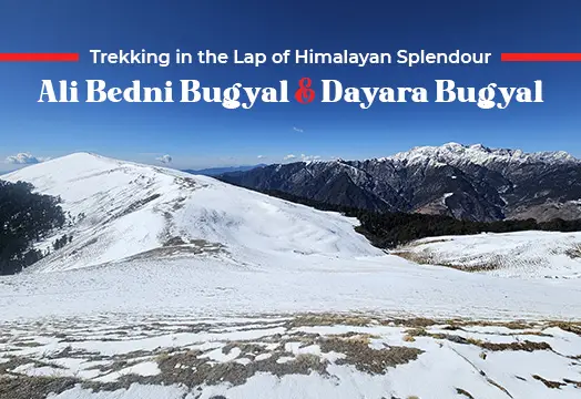 Ali Bedni Bugyal & Dayara Bugyal - Trekking in the Lap of Himalayan Splendour